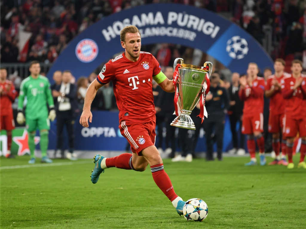 尼亚开展马 尼亚开展马